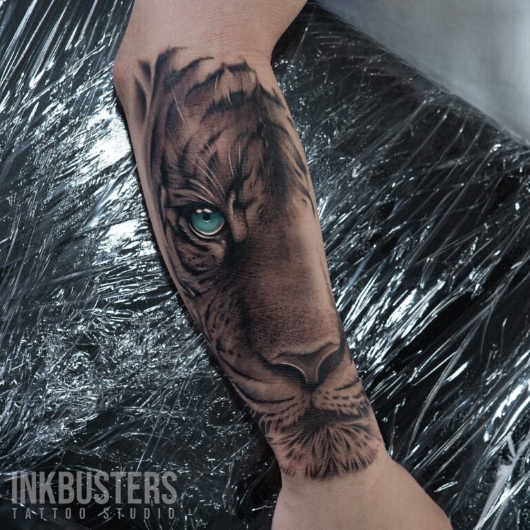 352860007_1343064296553508_3021675948549147437_n